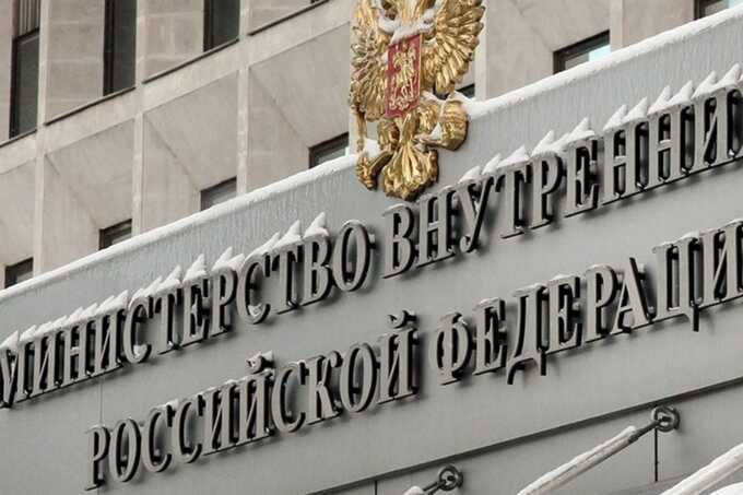 МВД объявило программиста из Зеленограда в розыск за фейки о ВС РФ